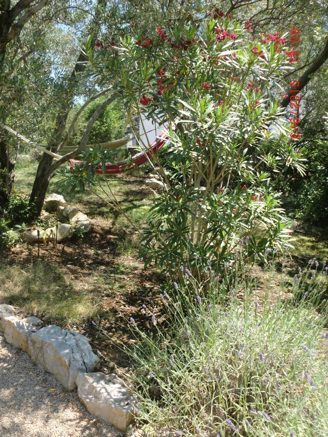 קרק Villa Splendissima Krk - Adults Only מראה חיצוני תמונה